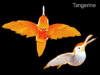 tangerine hummingbird by vdc