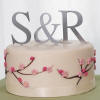 brushed silver monogram wedding cake topper