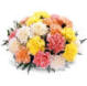 january birth month flowers - carnations