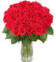 june birth month flower - rose