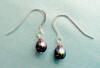 sterling silver Frenchwire black (peacock) freshwater pearl earrings