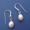 pearl earrings - large oval freshwater pearls on sterling silver frenchwires
