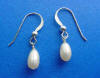 small pearl earrings - oval freshwater pearls on sterling silver frenchwires