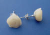 sterling silver 10mm carved white coral rose earrings