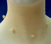 this illusion necklace has 10mm white coral carved rose beads