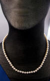 14k gold akoya pearl necklace