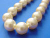 golden shell pearls