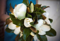 new orleans wedding flower magnolia
