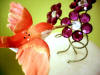 wedding cake jewels vdc garden friends tangerine hummingbrid at amethyst crystal flowers