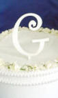 white acrylic letter g in curlz font