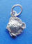sterling silver small fish charm