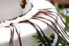 new orleans wedding cake ribbon pulls bridesmaid charm cake