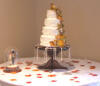 Kathleen's fall themed wedding charm cake