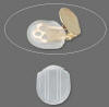 illustrated use of clear comfort pad for clip non-pierced earrings