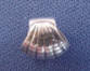 sterling silver large hole european style oyster bead