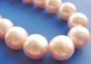 pink shell pearls