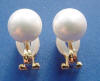 white shell pearl earrings