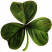 wedding day good luck shamrock for bride and groom