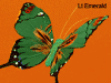 vdc light emerald 5" butterfly